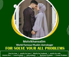 Love marriage Problem Solution molvi  Salim Khan +91-9501392551